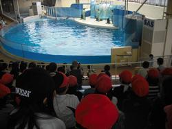 新江ノ島水族館