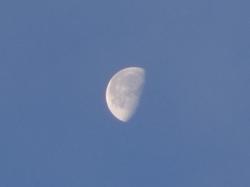 12日の月の形
