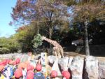 金沢動物園遠足