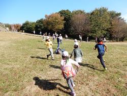 四季の森公園