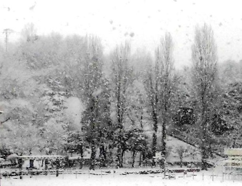 雪景色