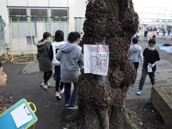 集会