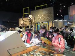 生命の星・地球博物館