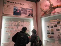 生命の星・地球博物館