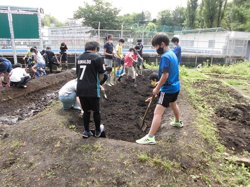 田んぼ