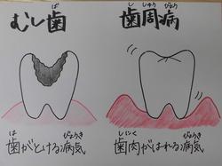 教育実習