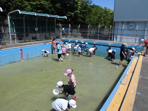 ヤゴとり