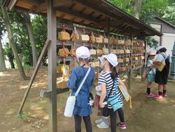 町たんけん