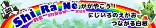 Shine Rainbow Nexus