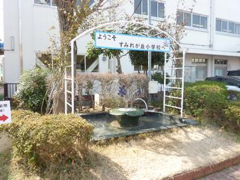 夢の噴水
