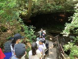 鳴沢氷穴