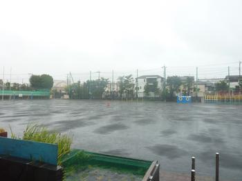 雨