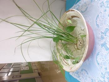 陶芸サークル
