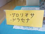 表示