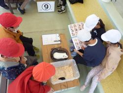 ふれあいプログラム