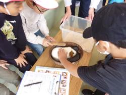 ふれあいプログラム