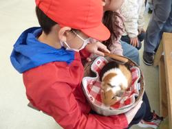 ふれあいプログラム