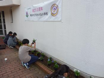お花植え