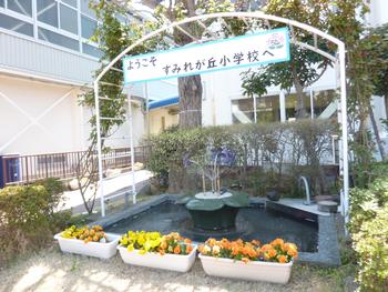 夢のふんすい
