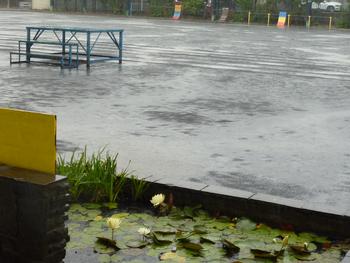 雨降り