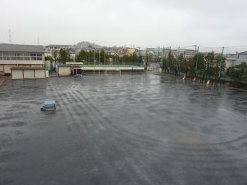 雨の一日