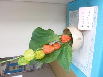 ほおずき