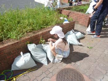 雑草抜き