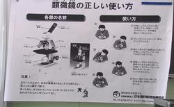 ６月２１日 ５年生 理科 顕微鏡を使おう 高田東小学校