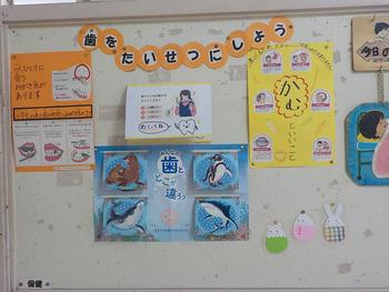 ６月１９日 金 保健室前の掲示 鳥が丘小学校