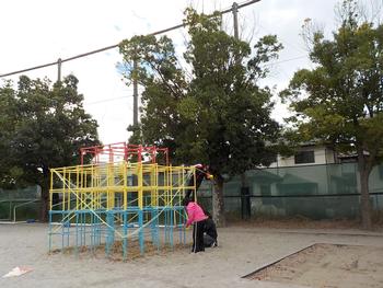 １１月６日 金 運動会前日準備 鳥が丘小学校