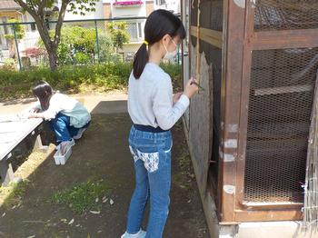 絵の具スケッチ（飼育小屋）