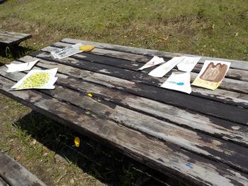 絵の具スケッチ（ミニ公園）