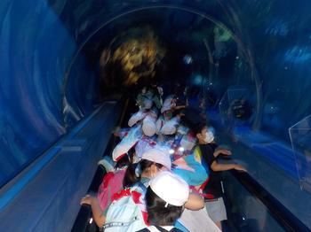 水族館1