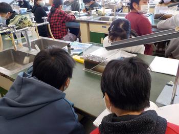 地層のでき方実験