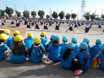 ５年ソーラン節