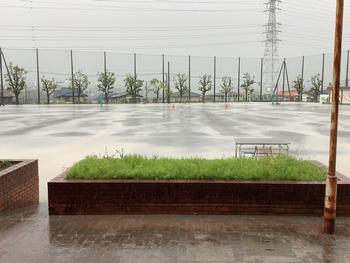 水に覆われた校庭