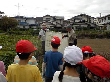 わくわく農園