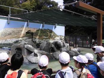 野毛山動物園