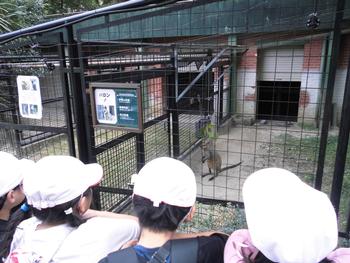 野毛山動物園