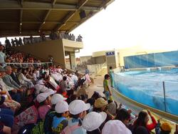 新江ノ島水族館遠足１