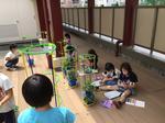 １年　あさがお観察
