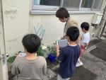 野菜の観察