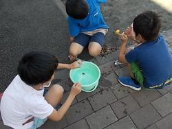 10月2日 金曜日 とじこめた空気と水 四年生 都筑小学校
