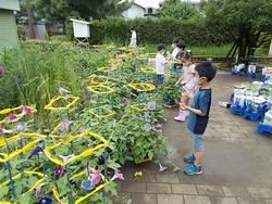 7月7日 水曜日 都筑小学校