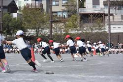 運動会３
