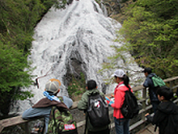 日光