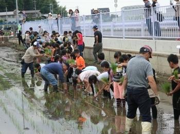 お米づくりプロジェクト 山下小学校