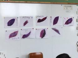 個別支援級 サツマイモの絵を描きました 山田小学校