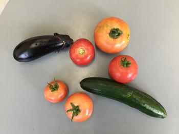 野菜