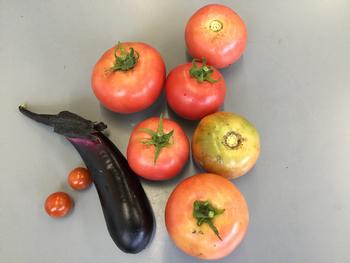 野菜１